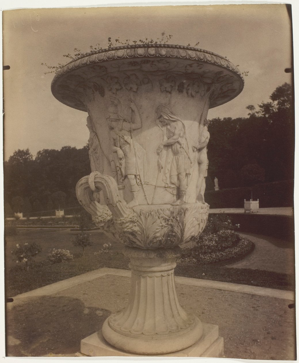 Versailles, (Váza) alkotó: Jean Eugène Auguste Atget