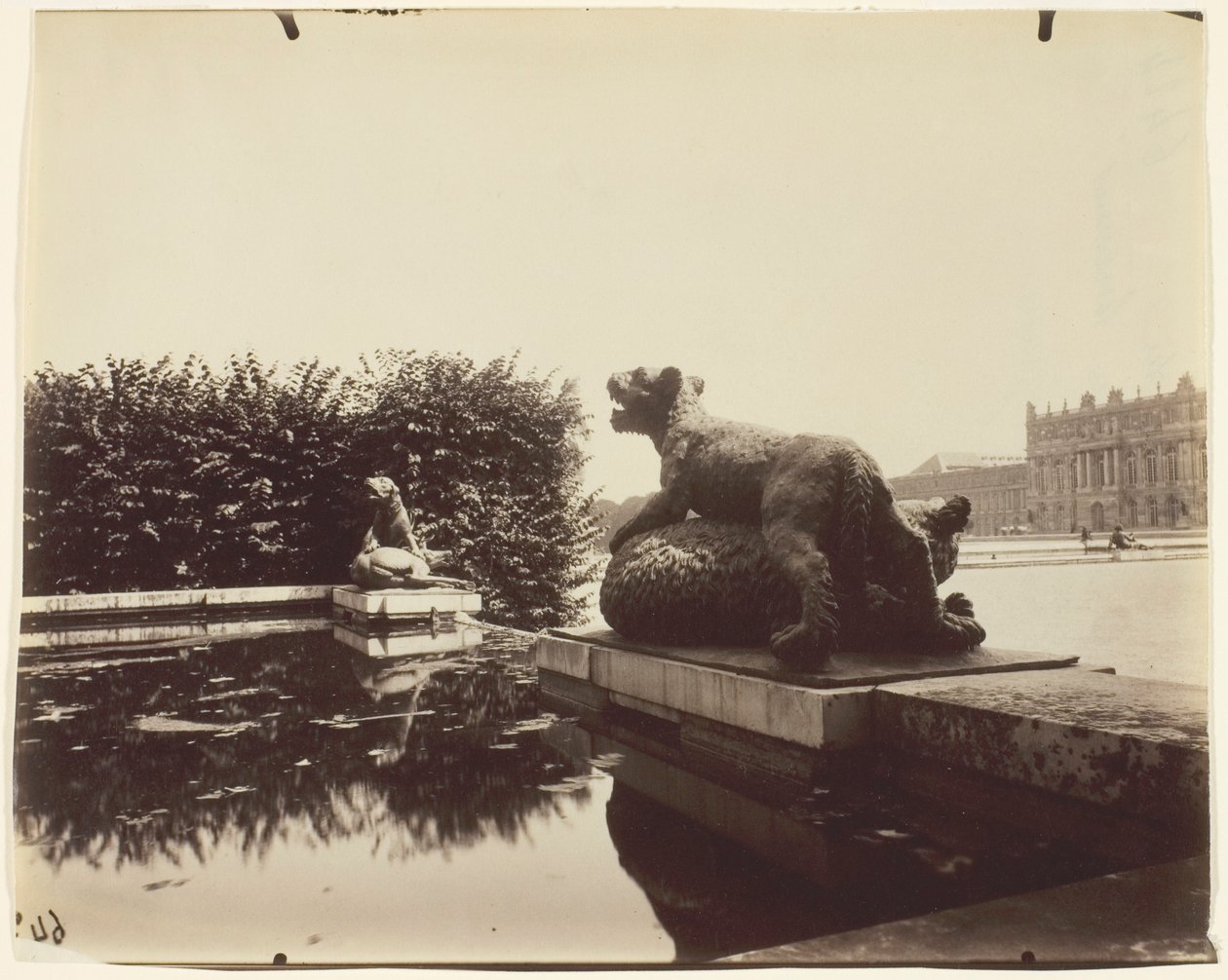 Versailles, Fontaine du Point du Jour, (Tigre Terrassant un Ours by Houzeau) alkotó: Jean Eugène Auguste Atget