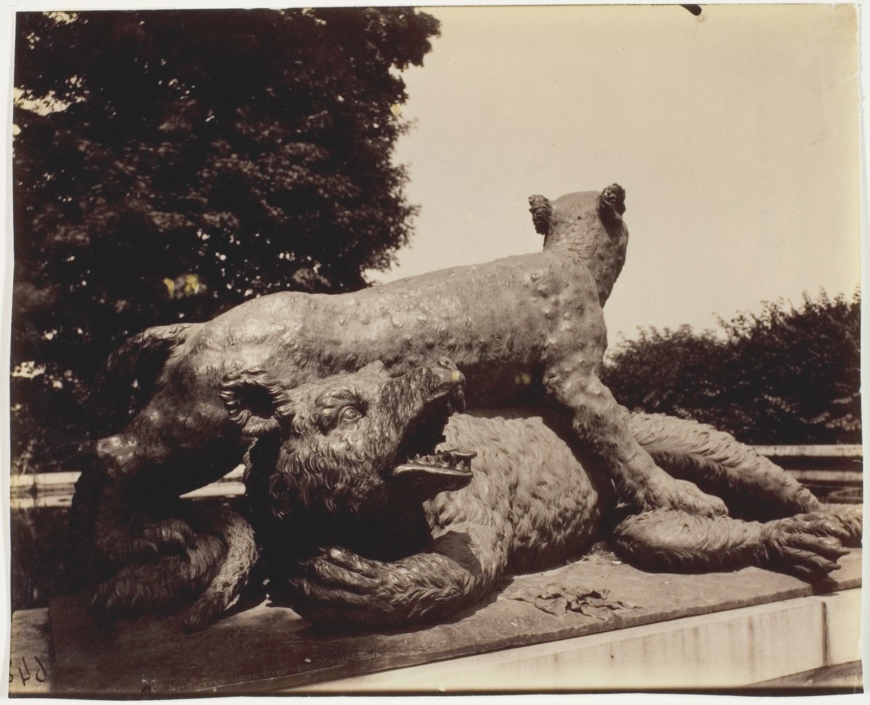 Versailles, Fontaine du Point du Jour, (Tigre Terrassant un Ours by Houzeau) alkotó: Jean Eugène Auguste Atget