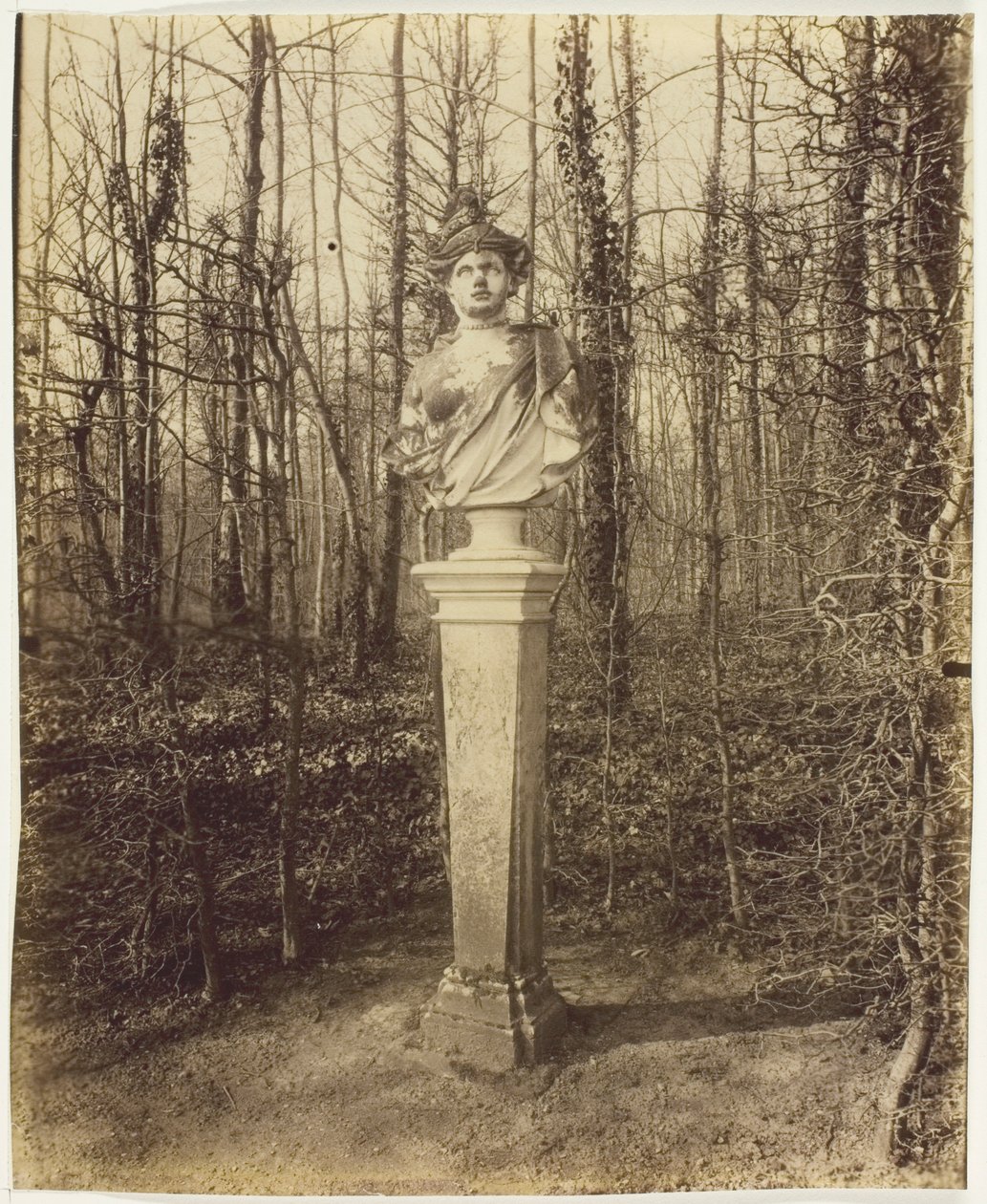 Versailles, Trianon, (Coin de Parc) alkotó: Jean Eugène Auguste Atget