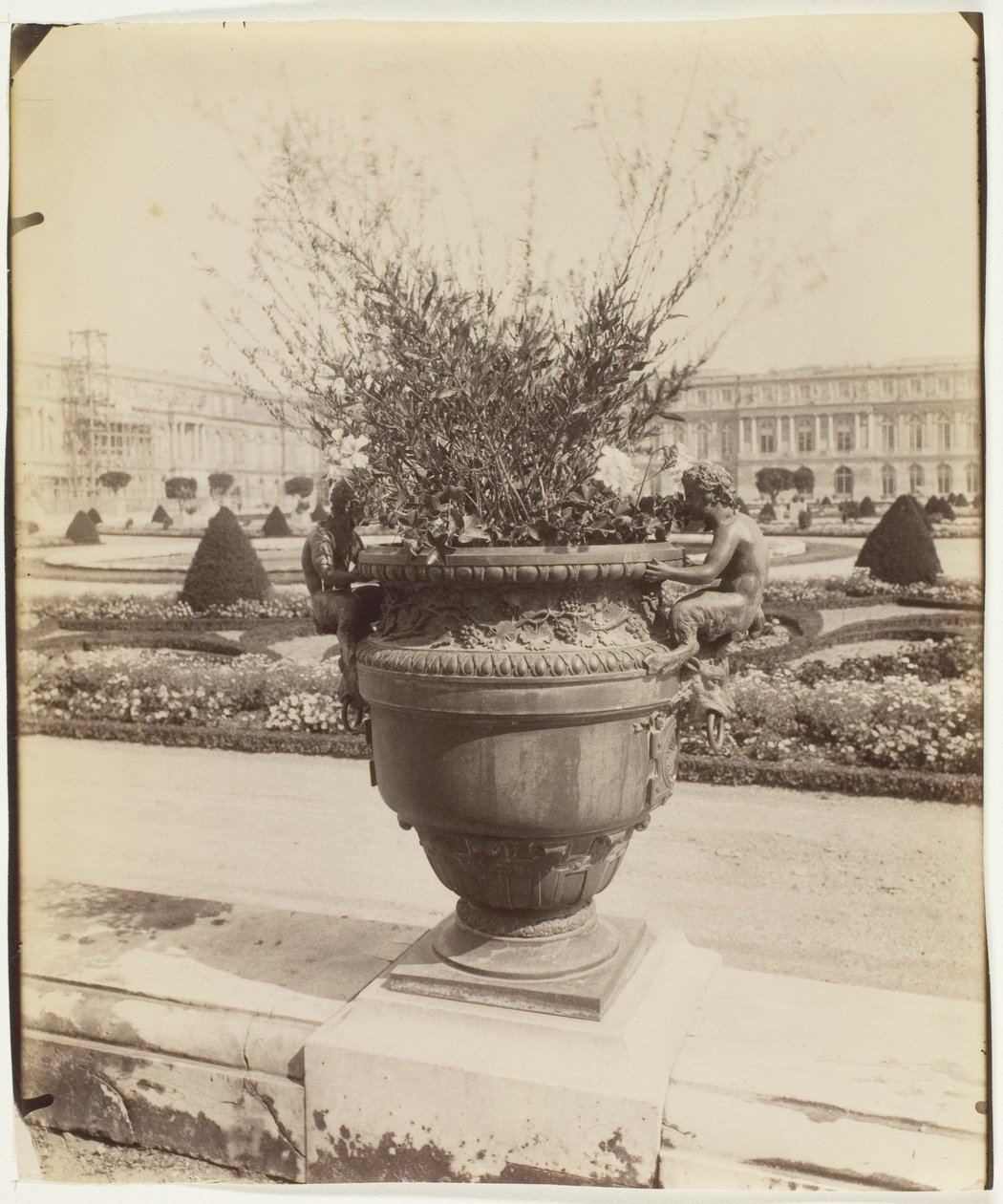 Versailles, Ballin váza alkotó: Jean Eugène Auguste Atget