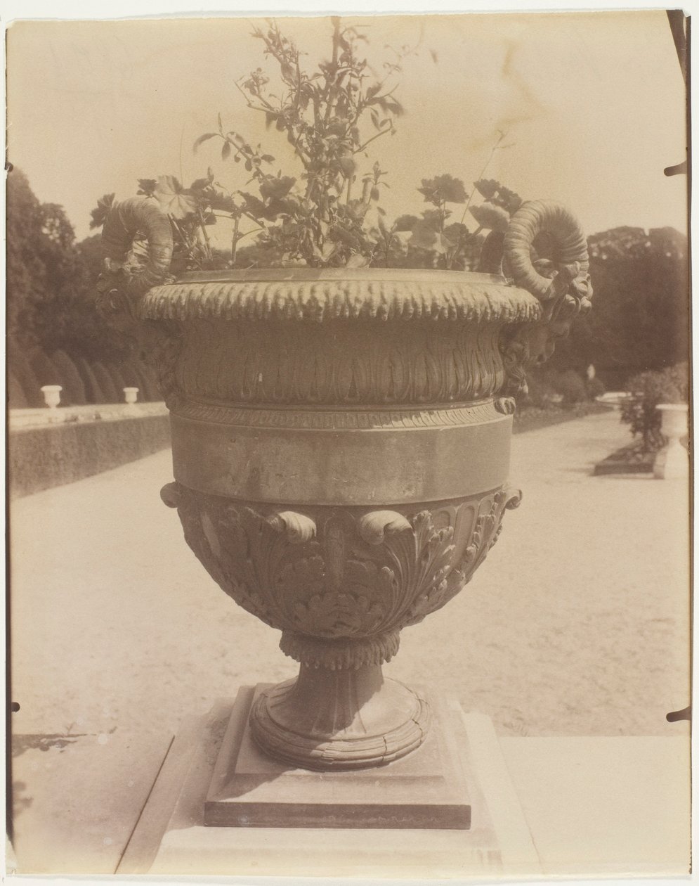 Versailles, Ballin váza alkotó: Jean Eugène Auguste Atget