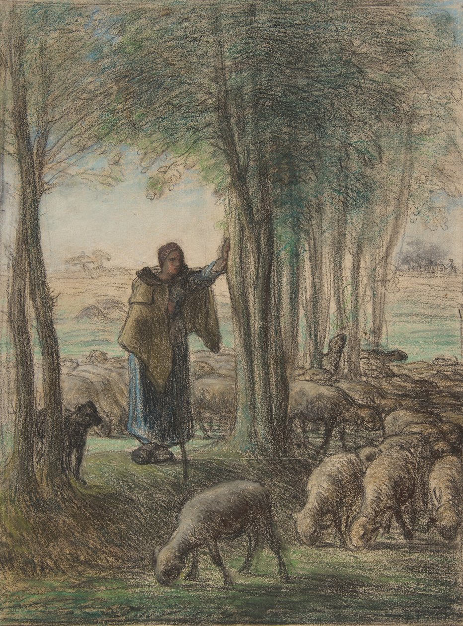 Pásztorlány és nyája a fák árnyékában, 1854-55 (konté zsírkréta és pasztell fektetett papíron) alkotó: Jean Francois Millet