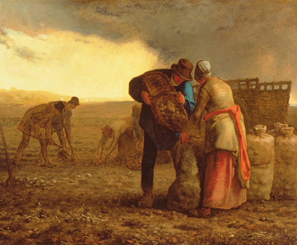 A burgonya betakarítása, 1855 alkotó: Jean Francois Millet