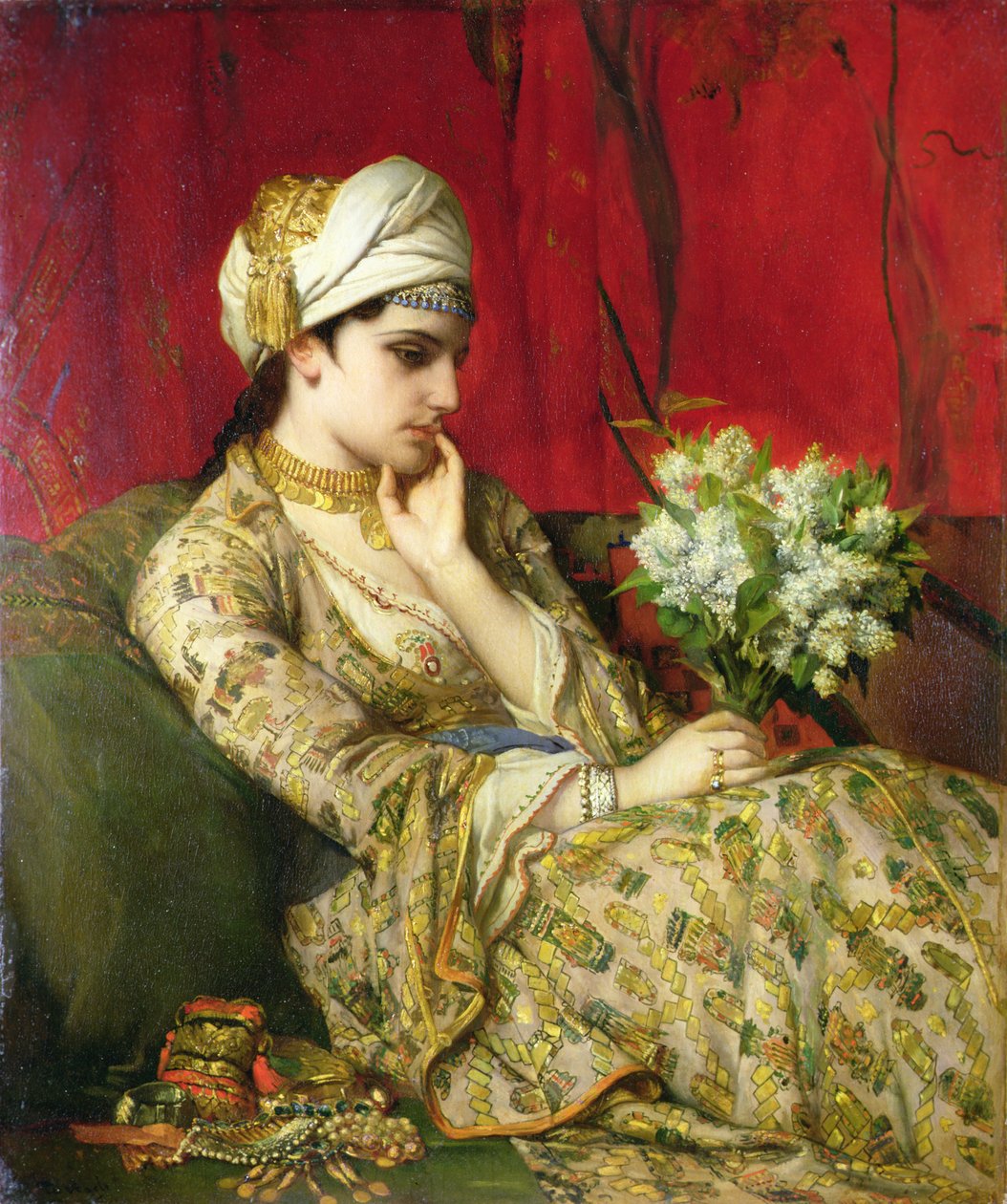 Az odalisque (olaj, vászon a fedélzeten) alkotó: Jean Francois Portaels