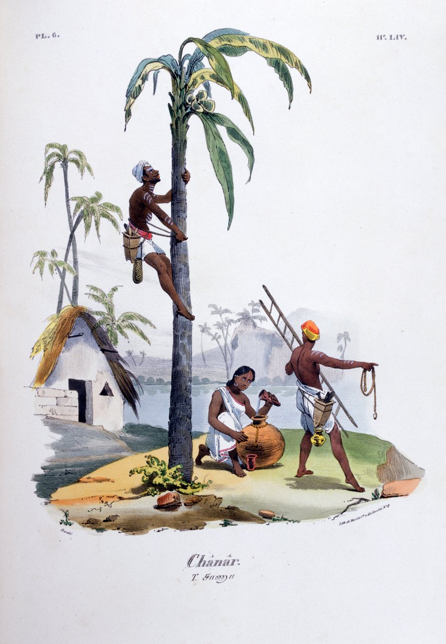 Chanar, 1828 alkotó: Jean Henri Marlet
