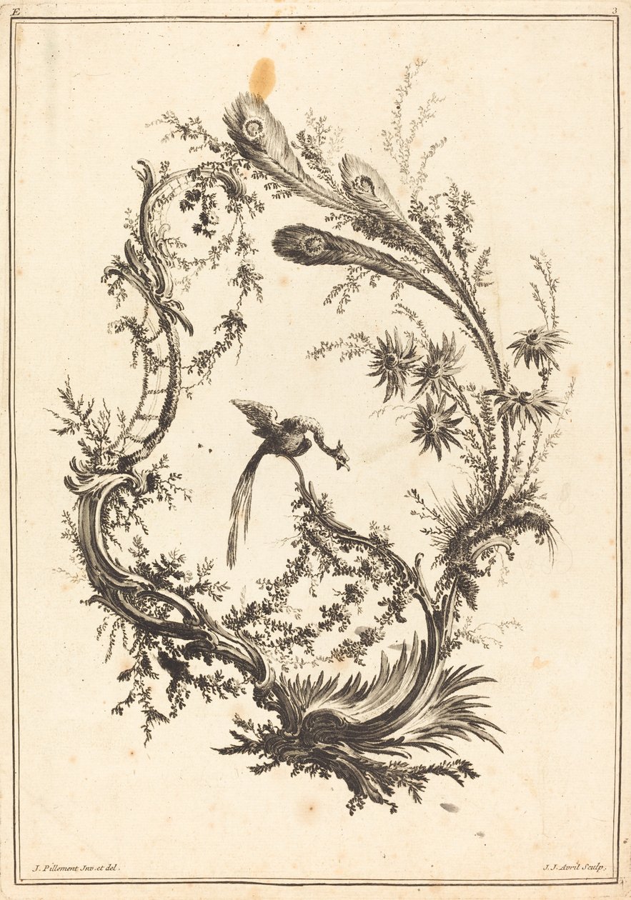 Dísz pávával alkotó: Jean Jacques Avril I after Jean Baptiste Pillement