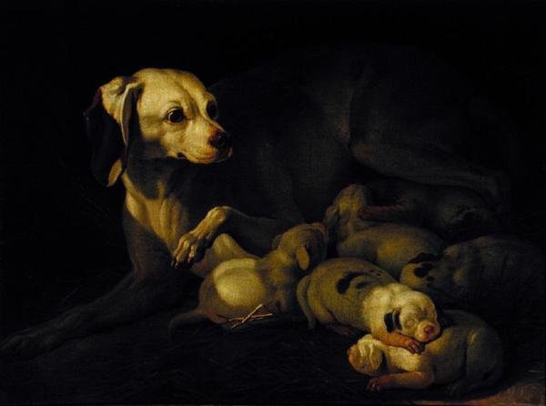 A kiskutyáit szoptató szuka, részlet Jean-Baptiste Oudry eredetije után, 1755 alkotó: Jean Jacques Bachelier