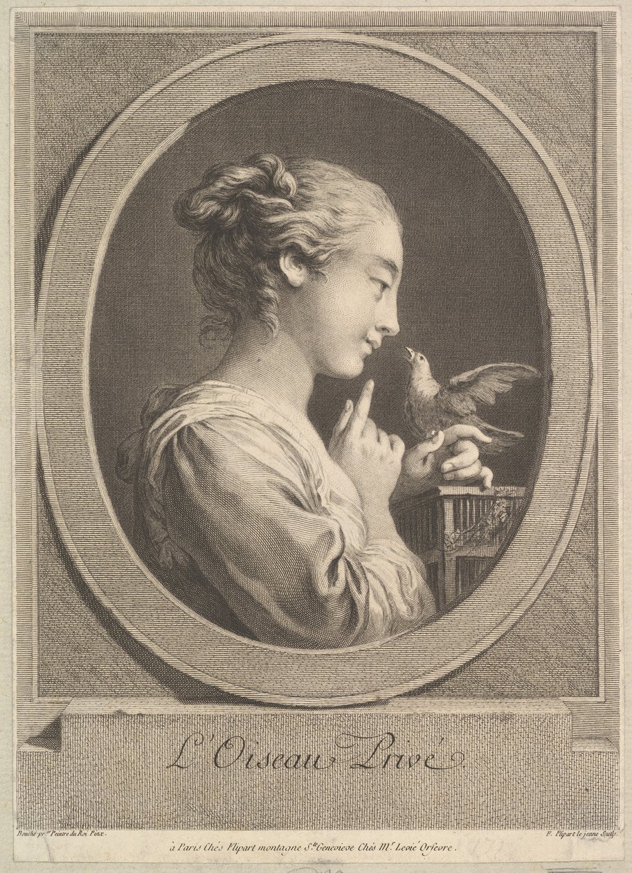 A megszelídített madár, kb. 1769. alkotó: Jean Jacques Flipart