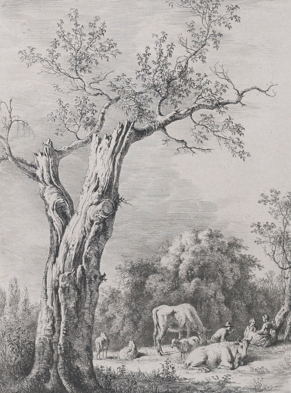 Tavasszal, Saint-Chamondban, 1795-ben elkészült rajz után. alkotó: Jean Jacques de Boissieu