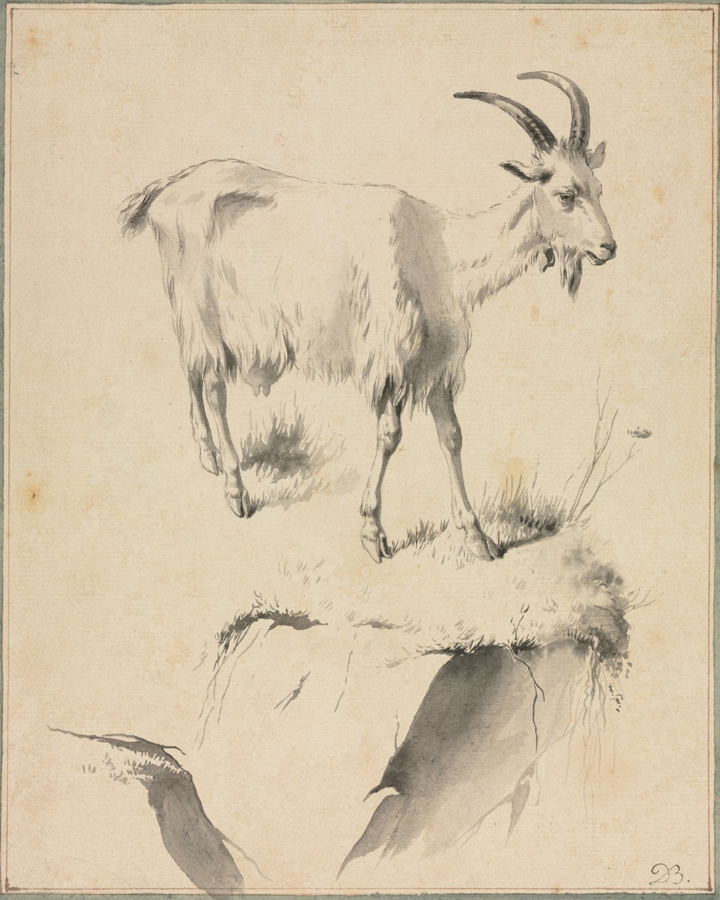 Tanulmány egy kecskéről, 1700-as évek. alkotó: Jean Jacques de Boissieu
