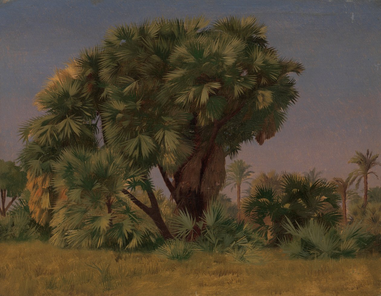 Pálmafák tanulmánya, valószínűleg 1868. alkotó: Jean Leon Gerome