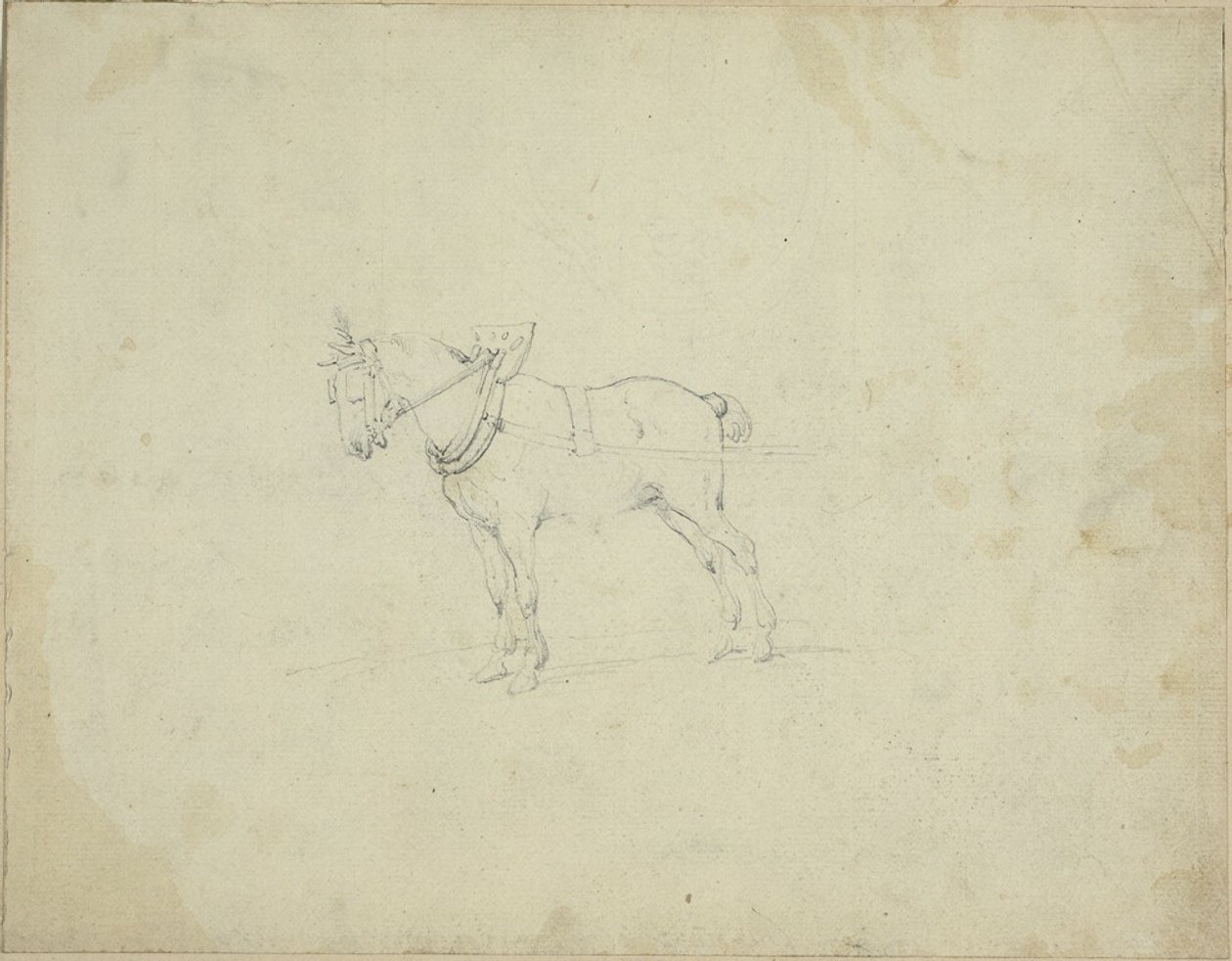 Húzó ló alkotó: Jean Louis André Théodore Géricault