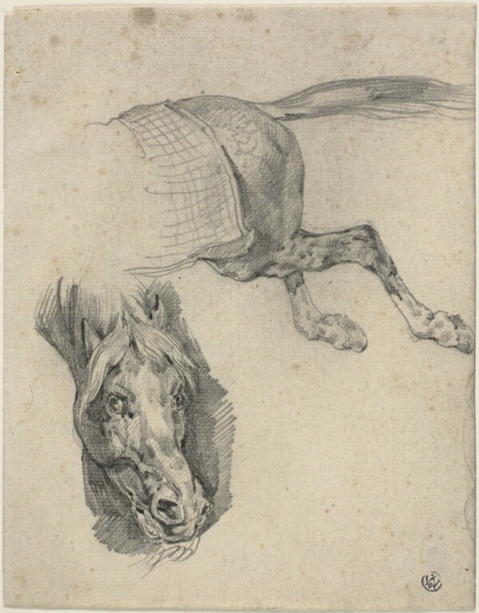 Egy versenyló feje és hátsó része alkotó: Jean Louis André Théodore Géricault