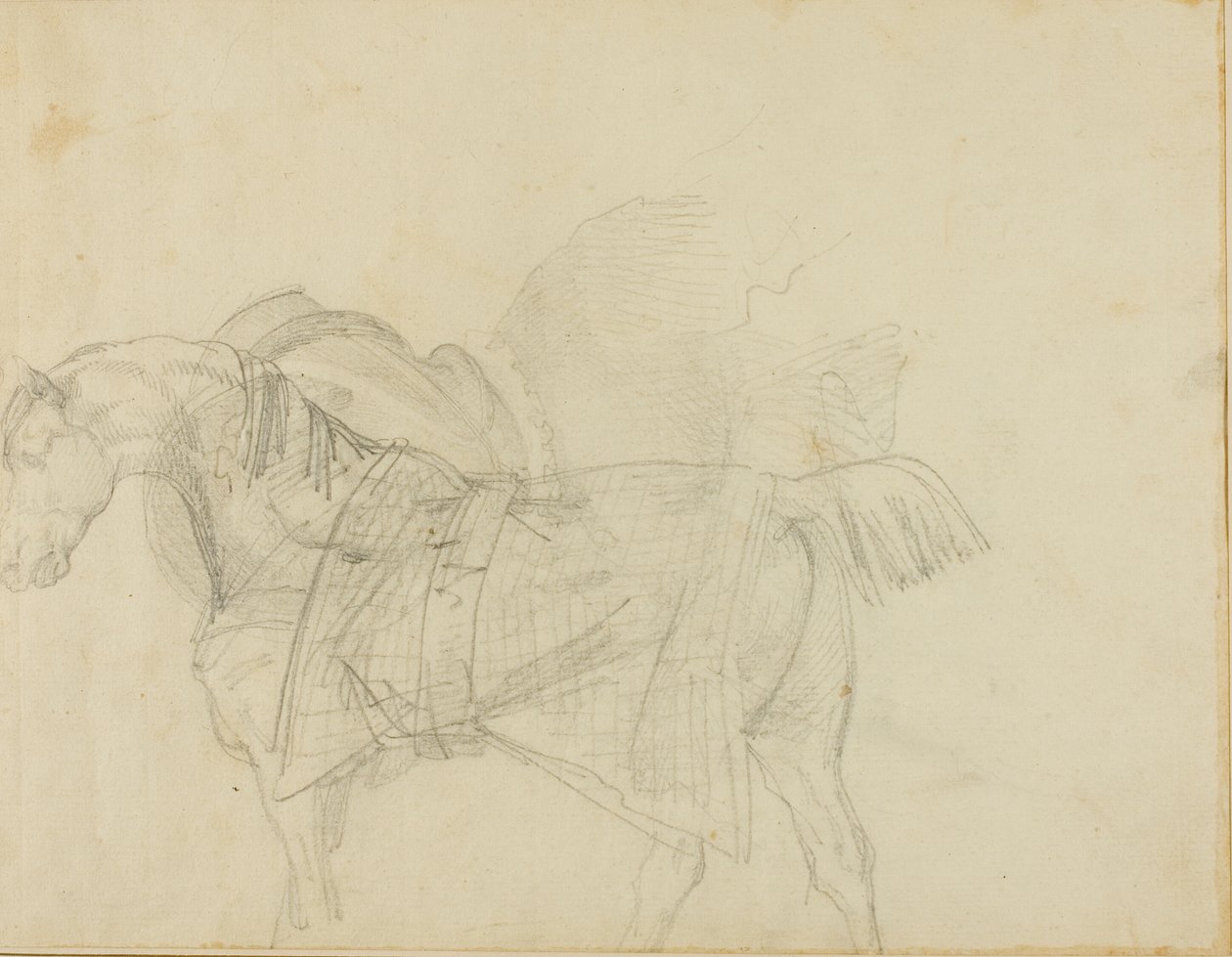 Takarót viselő ló alkotó: Jean Louis André Théodore Géricault