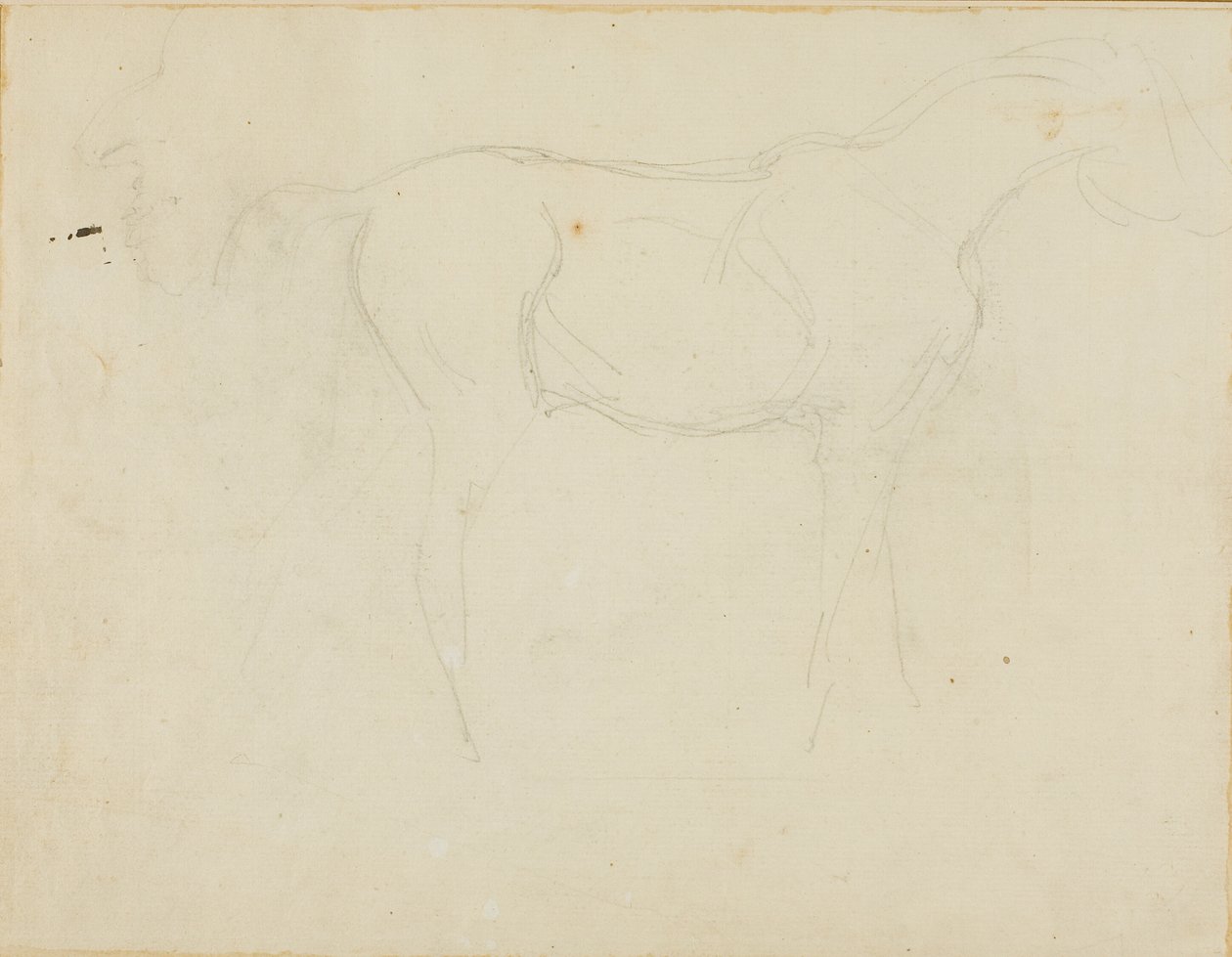 Egy jobbra néző ló vázlata és egy karikatúra profilban alkotó: Jean Louis André Théodore Géricault