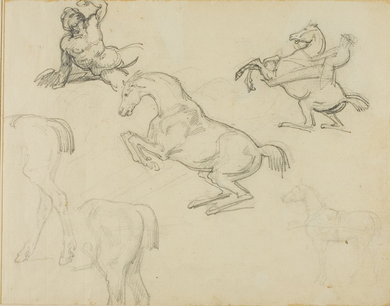 Vázlatok: Lovas és különböző lovak alkotó: Jean Louis André Théodore Géricault