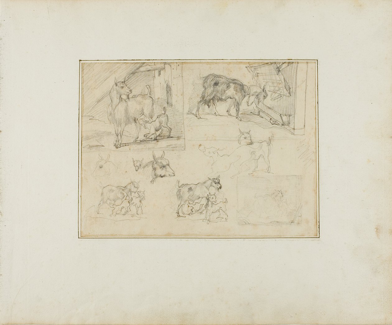 Kecskék vázlatai alkotó: Jean Louis André Théodore Géricault