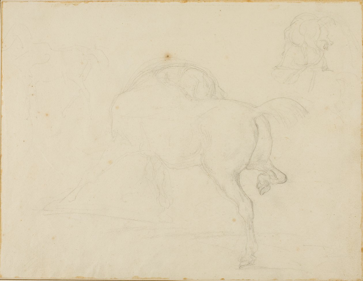 Tanulmány egy fejét elfordító és hátsó lábát felemelő lóról alkotó: Jean Louis André Théodore Géricault