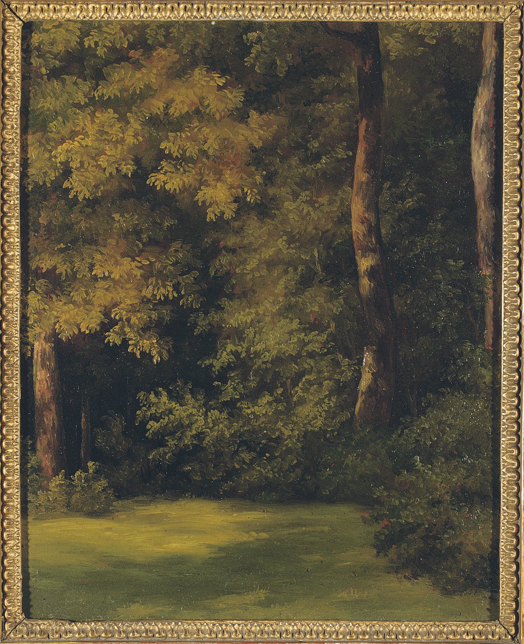 Erdős tisztás, 1840 alkotó: Jean Michel Cels