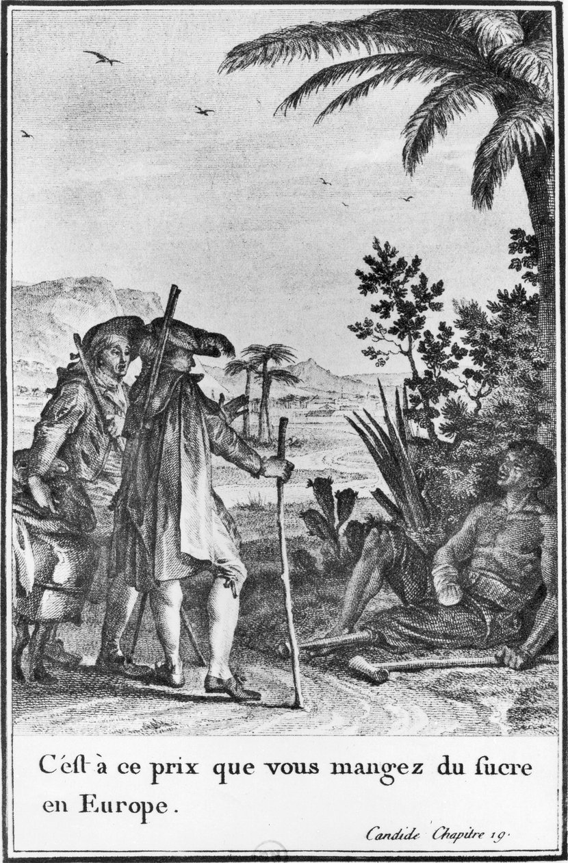 „Ezen az áron eszik cukrot Európában”, illusztráció Francois Voltaire (1694-1778) „Candide” című művének 19. fejezetéből, Pierre Charles Baquoy (1759-1829) metszetében, 1787 (metszet) (f/w fotó) alkotó: Jean Michel the Younger (after) Moreau