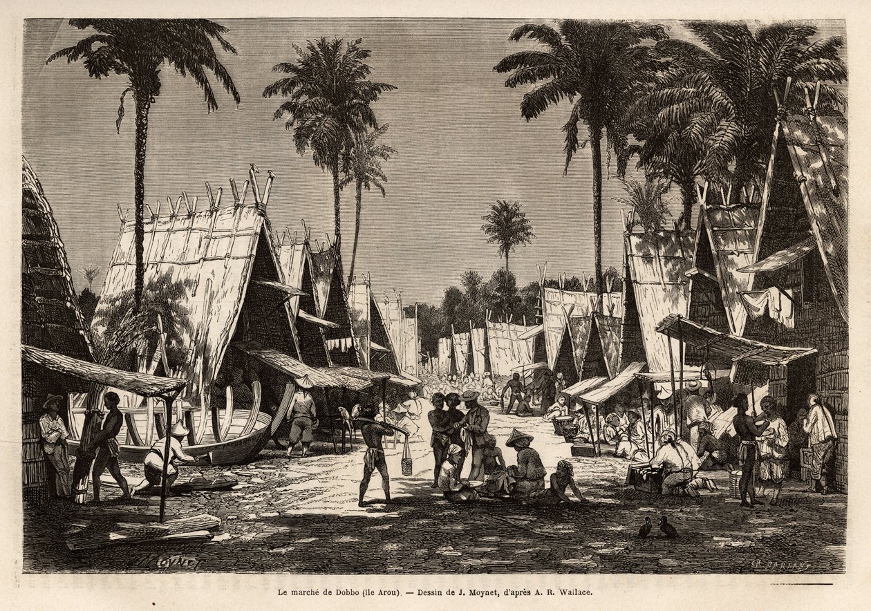 Dobbo felvonulása az Arou-szigeten, egy kikötőközpontban, amelyet számos kereskedő és hajóépítő mozgósított, J. Moynet Alfred Russell Wallace (1823-1913) 1854-1862-es malajziai szigetcsoportba vezető utazását illusztráló rajza nyomán vésett. ), brit alkotó: Jean Pierre Moynet