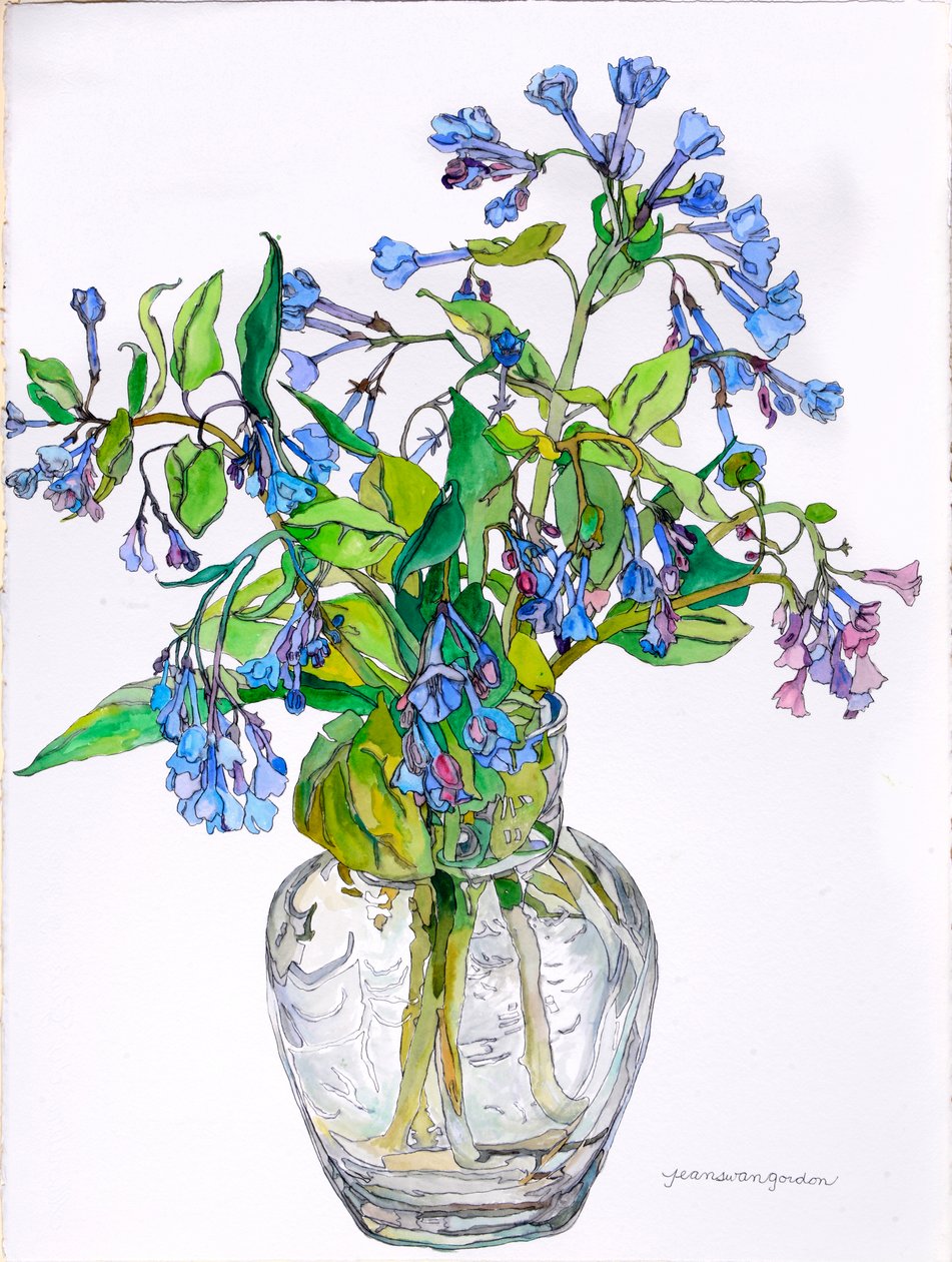 Virginia Blue Bells in Narrow Necked Vase, 2006 (akvarell és tinta, papír) alkotó: Jean Swan Gordon