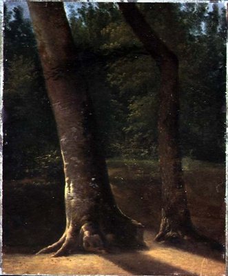 Study of Trees, 1815 körül (olaj, papír) alkotó: Jean Victor (attr. to) Bertin