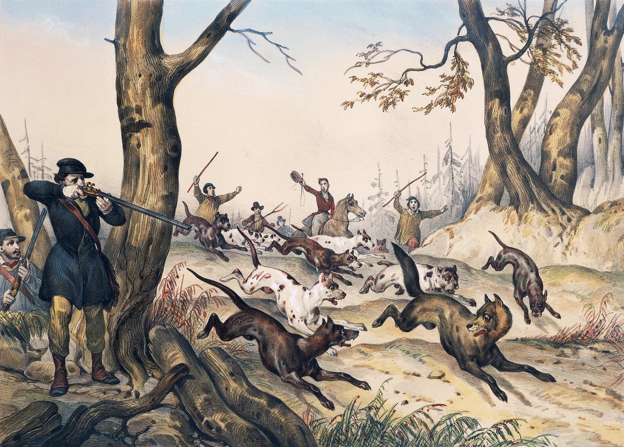 Farkasvadászat, Jean Victor Adam metszete (1801-1866) alkotó: Jean Victor Adam