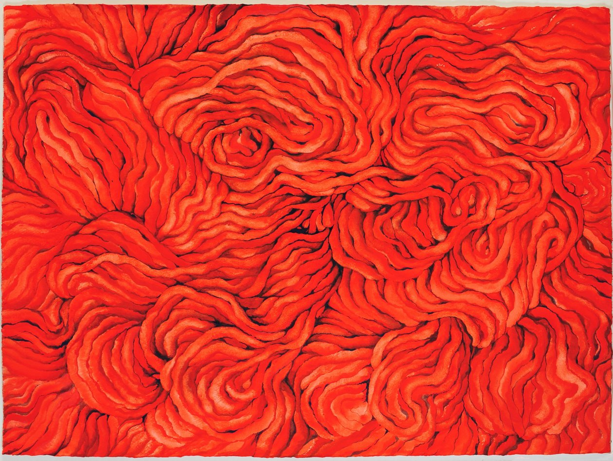 Gyapjúvörös, 2013 (gouache, papír) alkotó: Jeanne Maze
