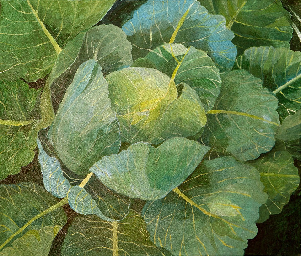 Káposzta (kék), 2014 (akril, vászon) alkotó: Jennifer Abbott