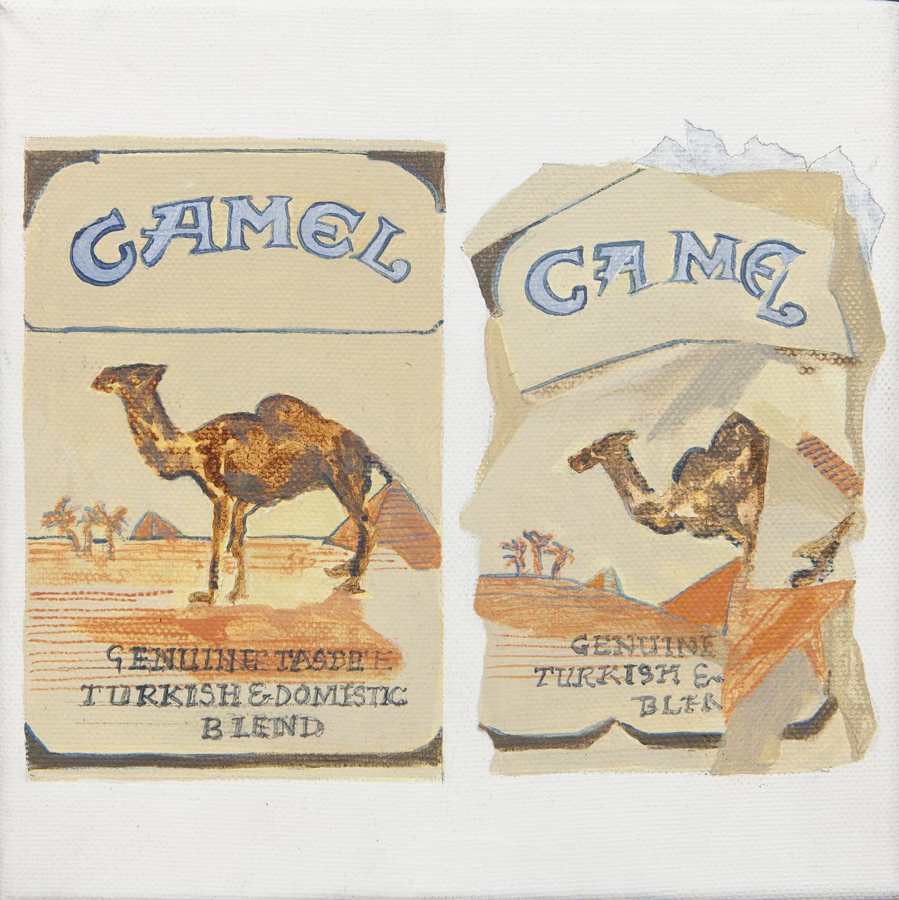 Camel cigaretta csomagok alkotó: Jennifer Abbott