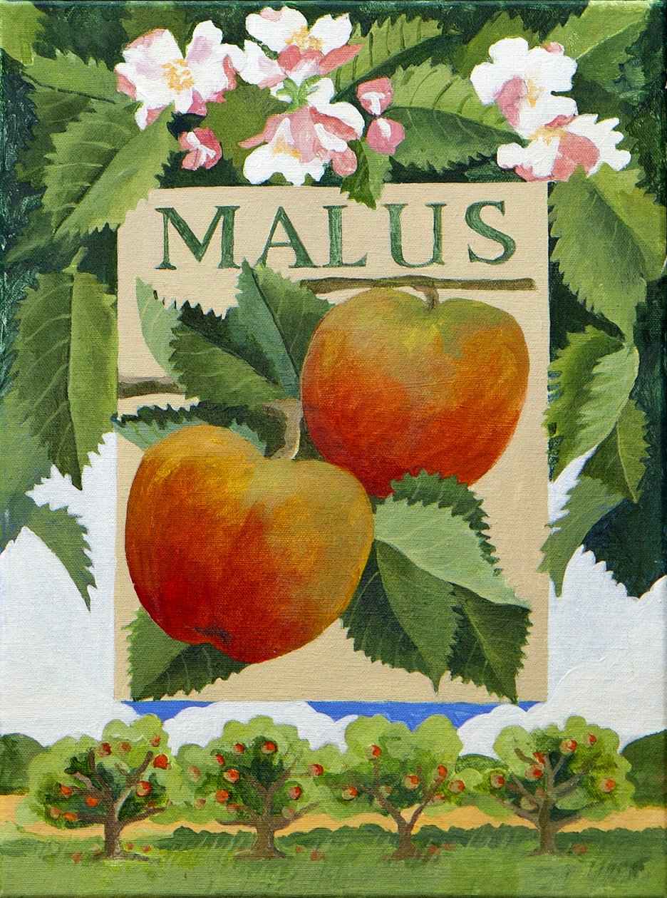 Malus (alma), 2014 (akril, vászon) alkotó: Jennifer Abbott