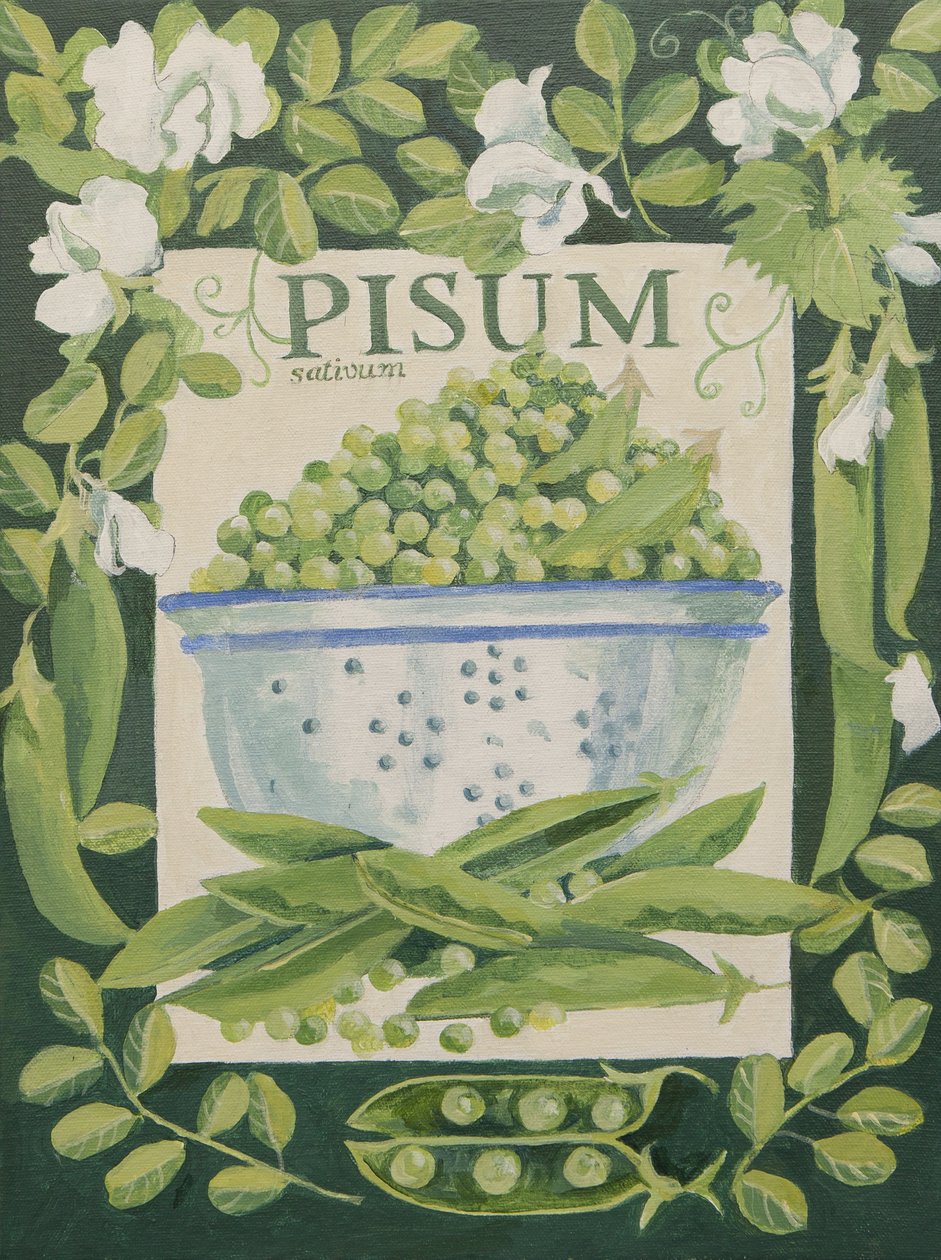 Pisum, borsó (akril) alkotó: Jennifer Abbott