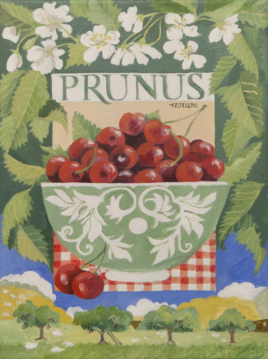 Prunus avium (akril) alkotó: Jennifer Abbott