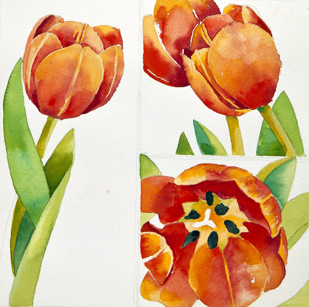Három tulipántanulmány egy biztosban, 2013 (akvarell) alkotó: Jennifer Abbott
