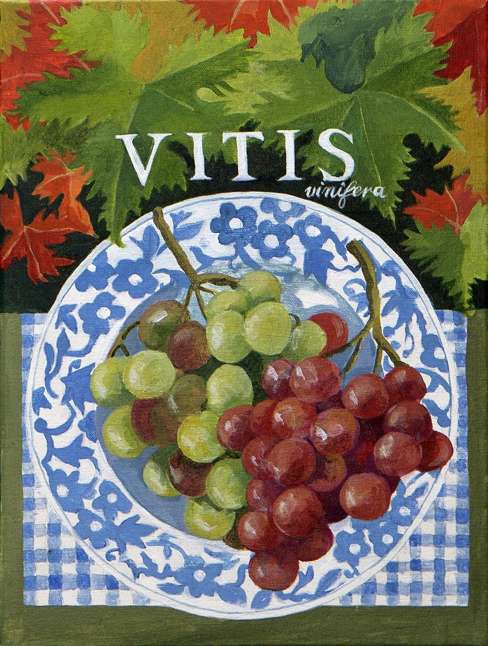Vitus (szőlő), 2014 (akril, vászon) alkotó: Jennifer Abbott