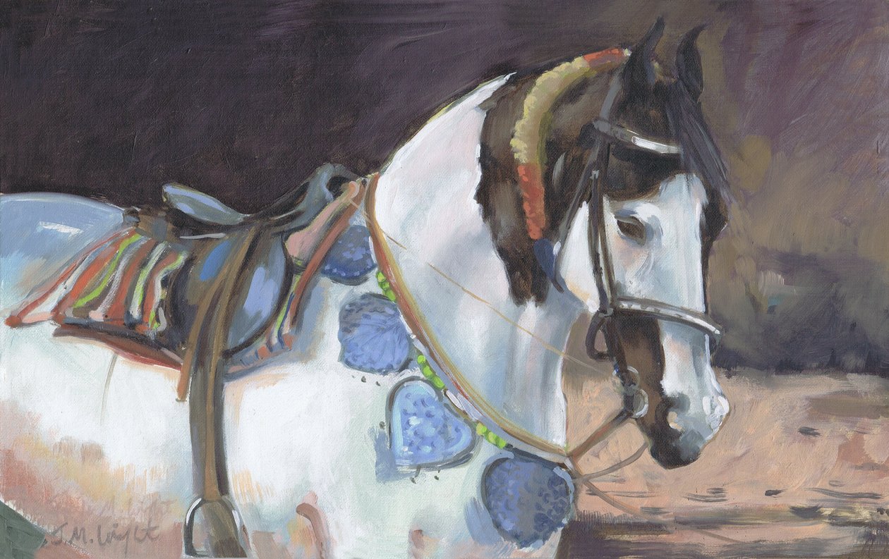 Marwari Horse II (olaj, vászon) alkotó: Jennifer Wright