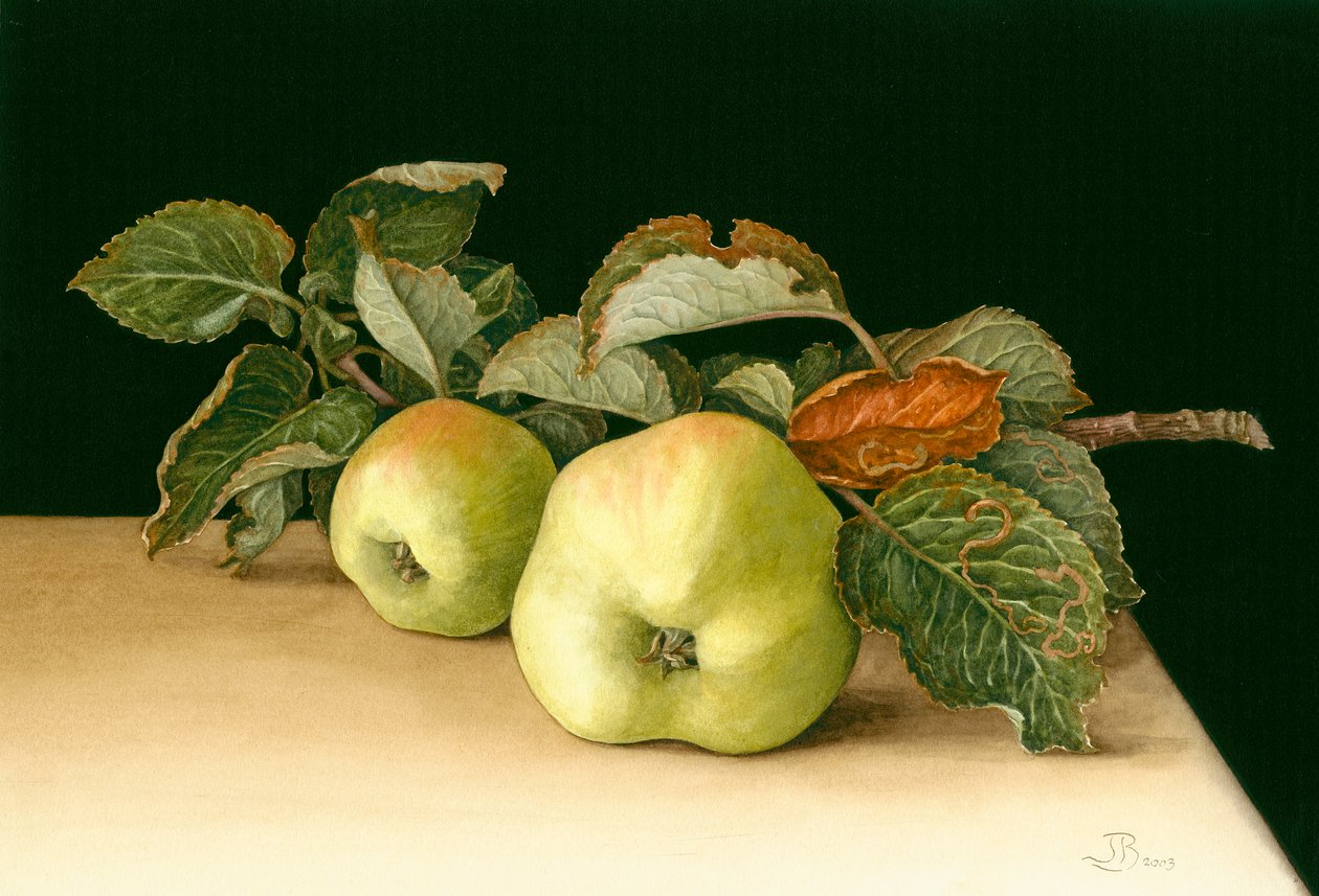 Bramleys alkotó: Jenny Barron