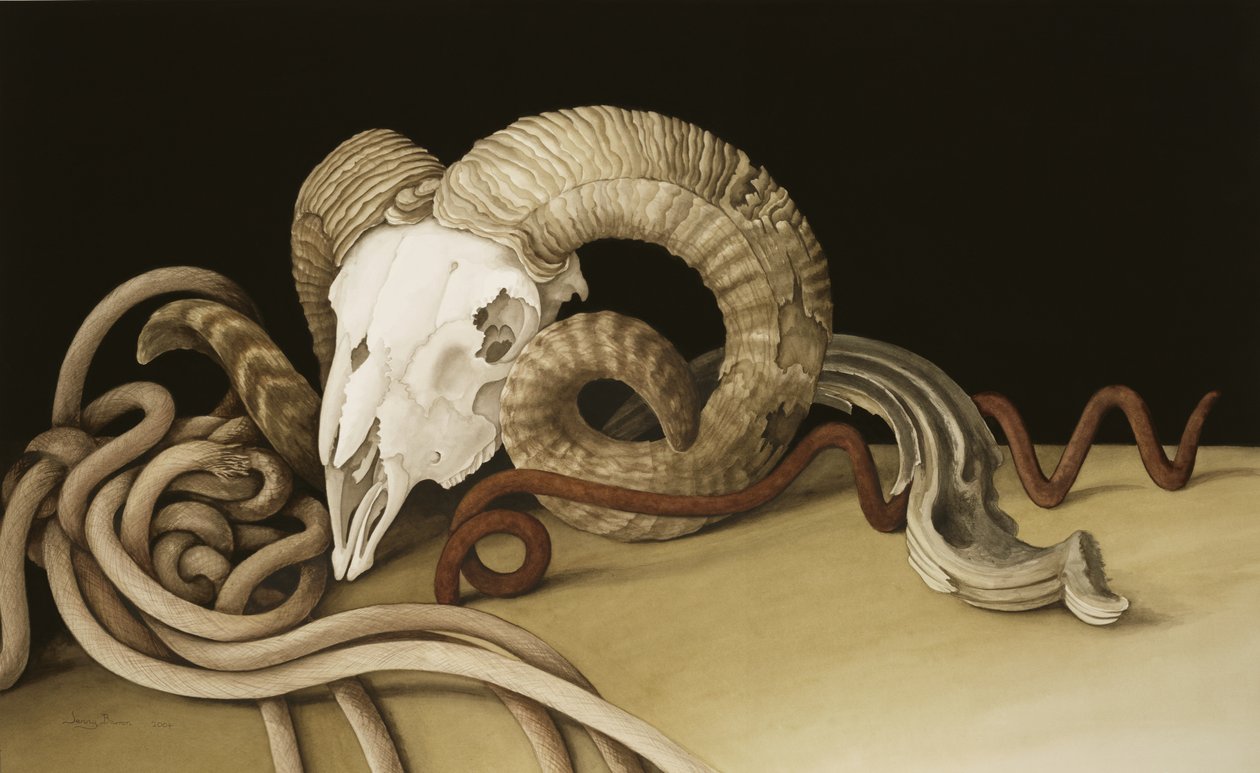 Vanitas, 2004 (wc papíron) alkotó: Jenny Barron