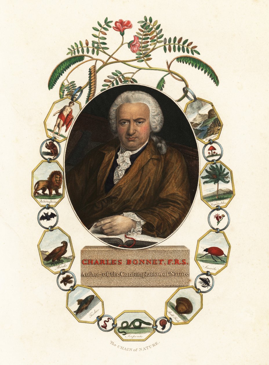 Charles Bonnet genfi természettudós portréja.1803 (metszet) alkotó: Jens Juel