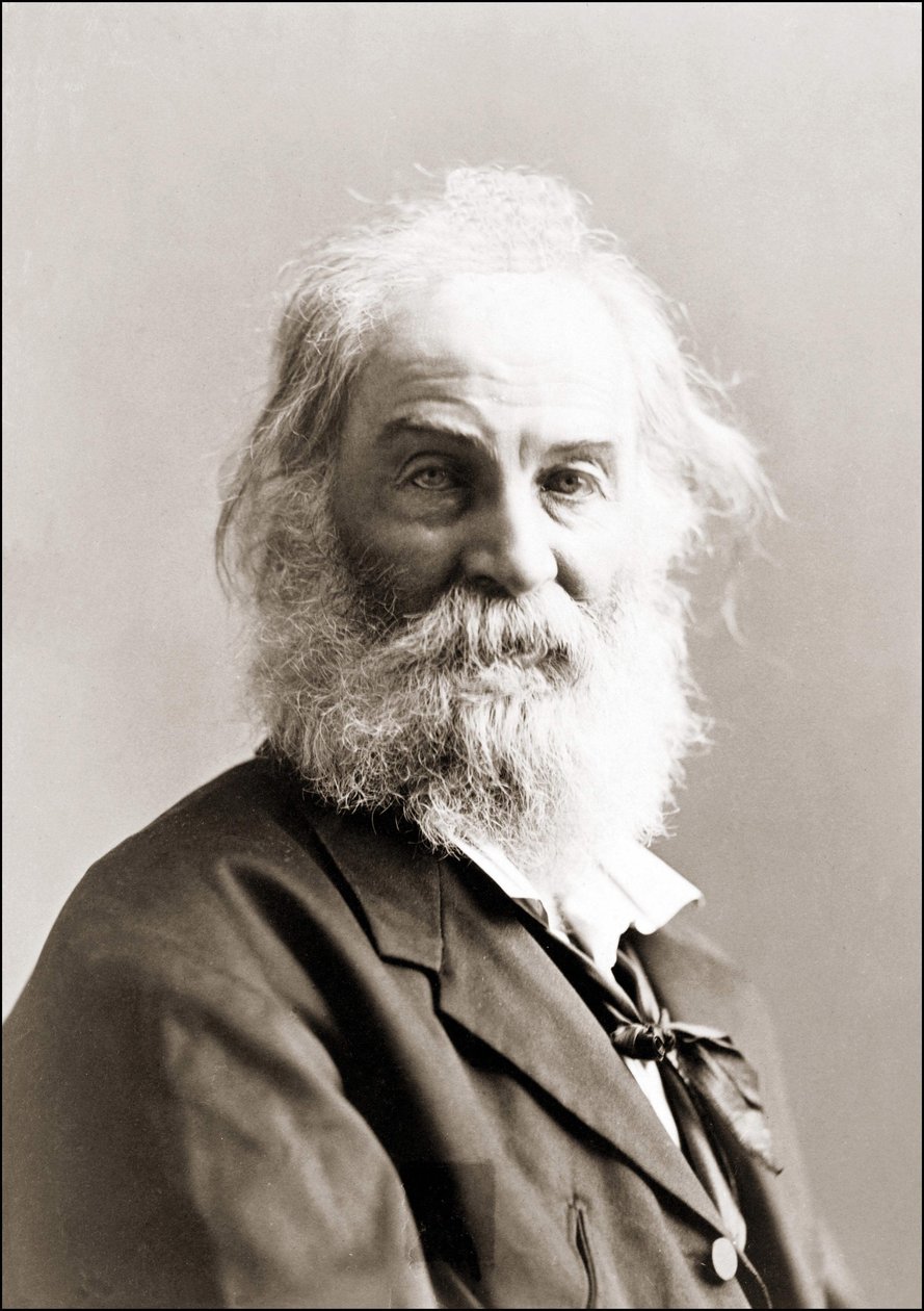 Walt Whitman (1819-1892) portréja, Gurney 1880 és 1890 között. alkotó: Jeremiah Gurney