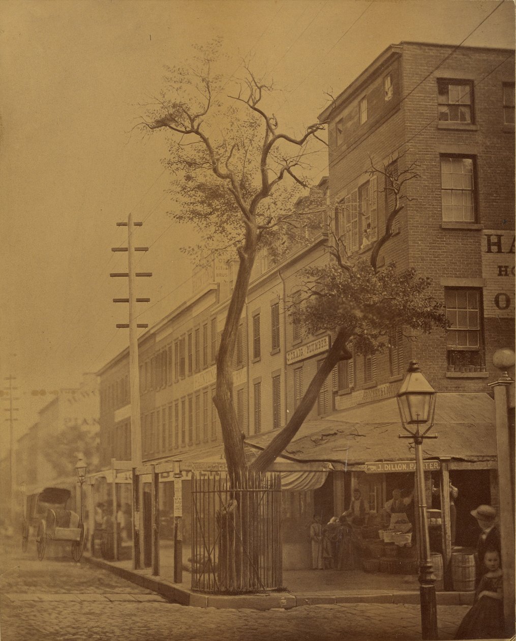 A Stuyvesant körtefa alkotó: Jeremiah Gurney