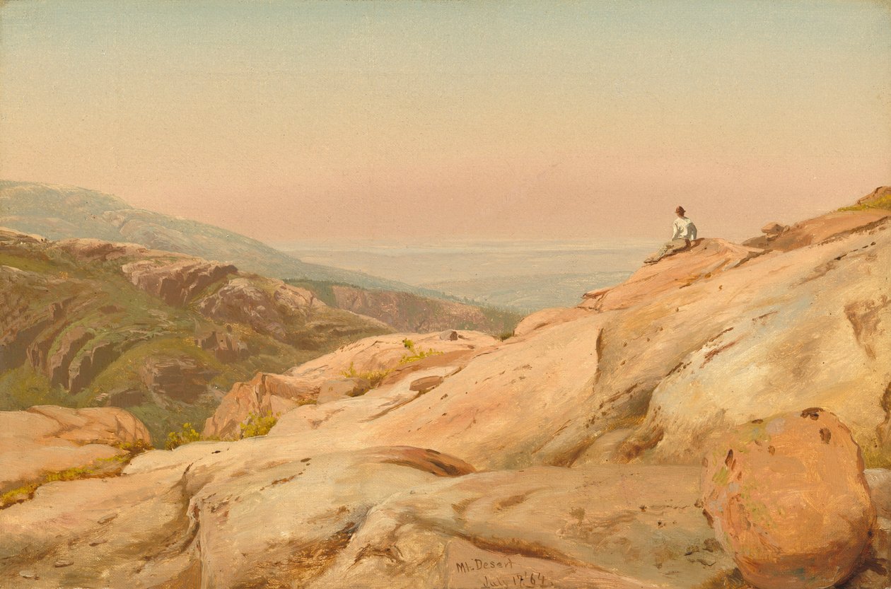 Mount Desert Island, Maine, 1864. alkotó: Jervis McEntee