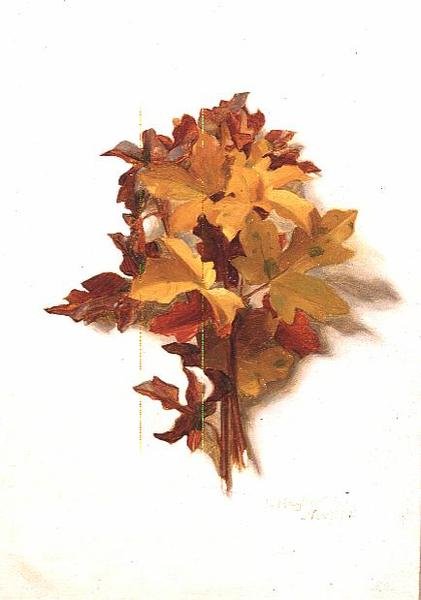 november (a tizenkettős sorozatból) alkotó: Jessica Hayllar