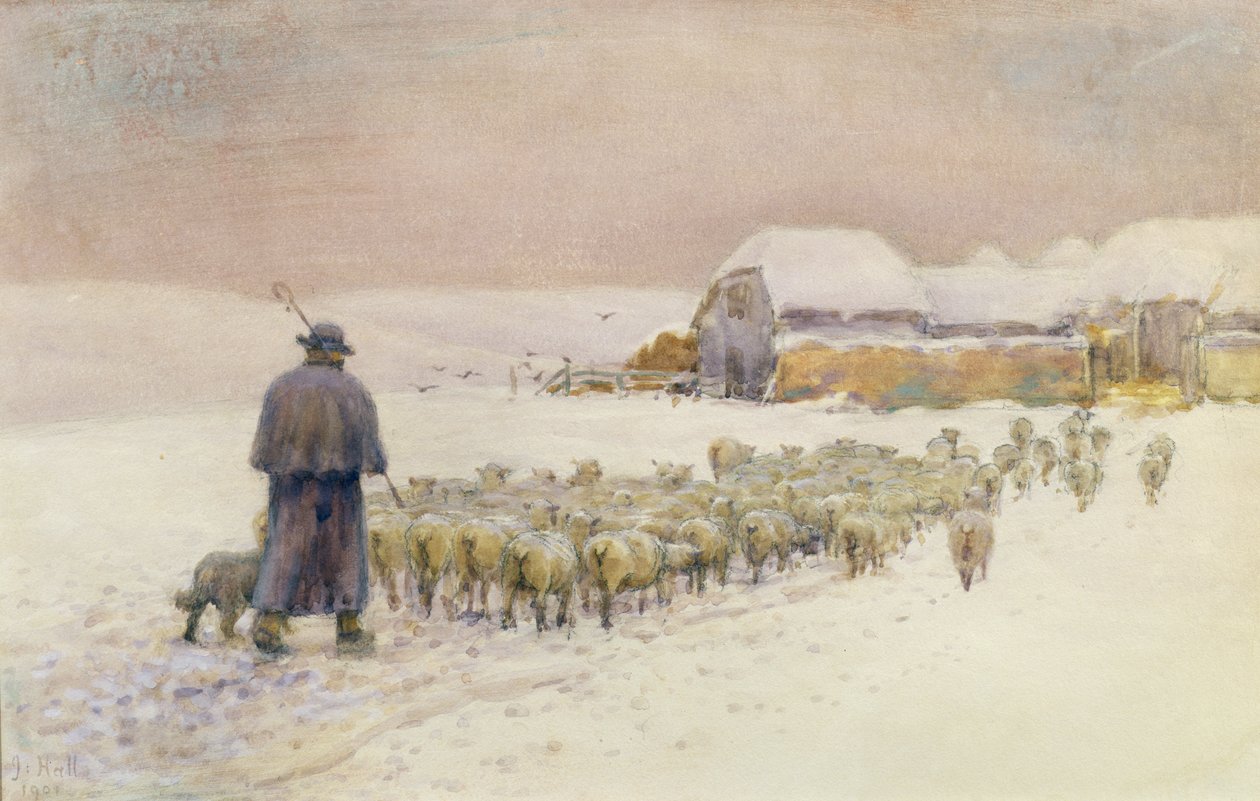 Bringing in the Flock, 1901 alkotó: Jessie Hall