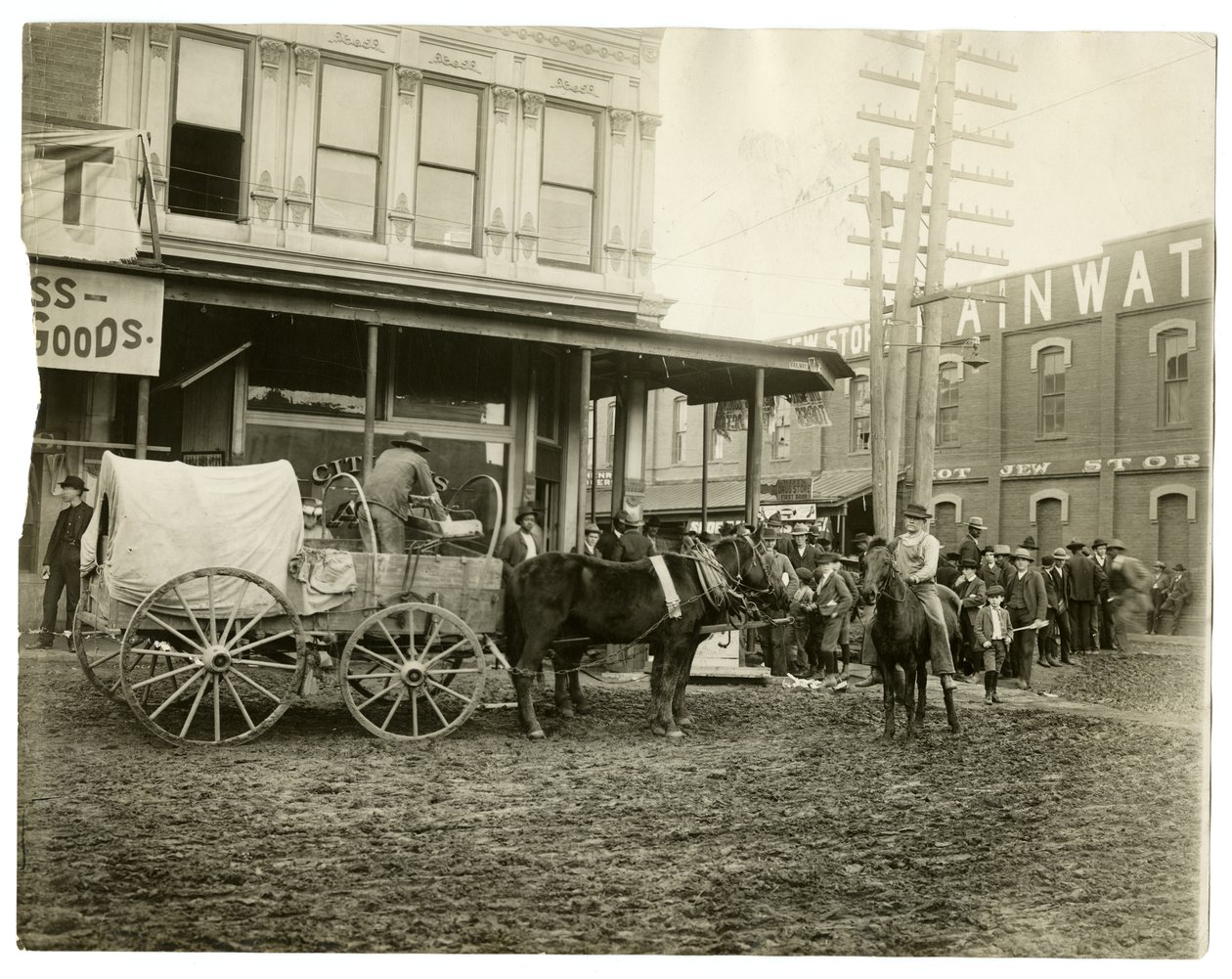 Arkansas alkotó: Jessie Tarbox Beals
