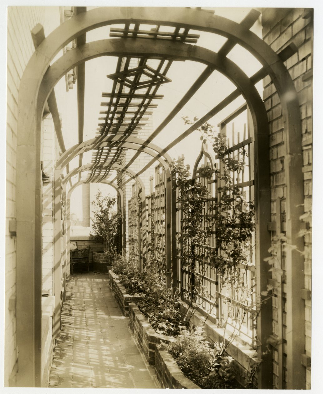 Regina Jais asszony hátsó kertje, 1936-37 körül (zselatin ezüst fotó) alkotó: Jessie Tarbox Beals