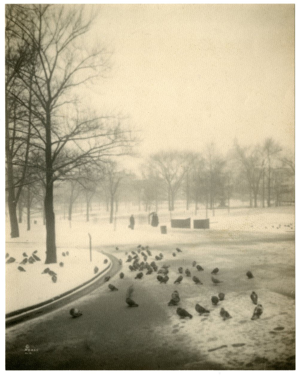 Boston Common, Boston, USA, 1902-1910 körül alkotó: Jessie Tarbox Beals