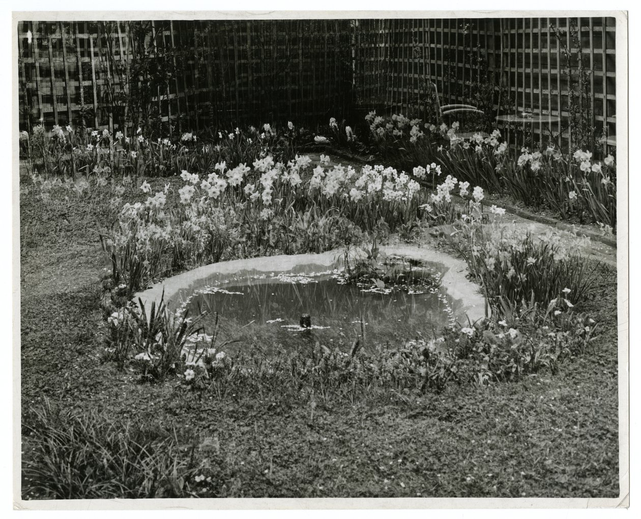 Garden of Mr & Mrs Wm H Wells 265 W 11th St, New York, USA alkotó: Jessie Tarbox Beals
